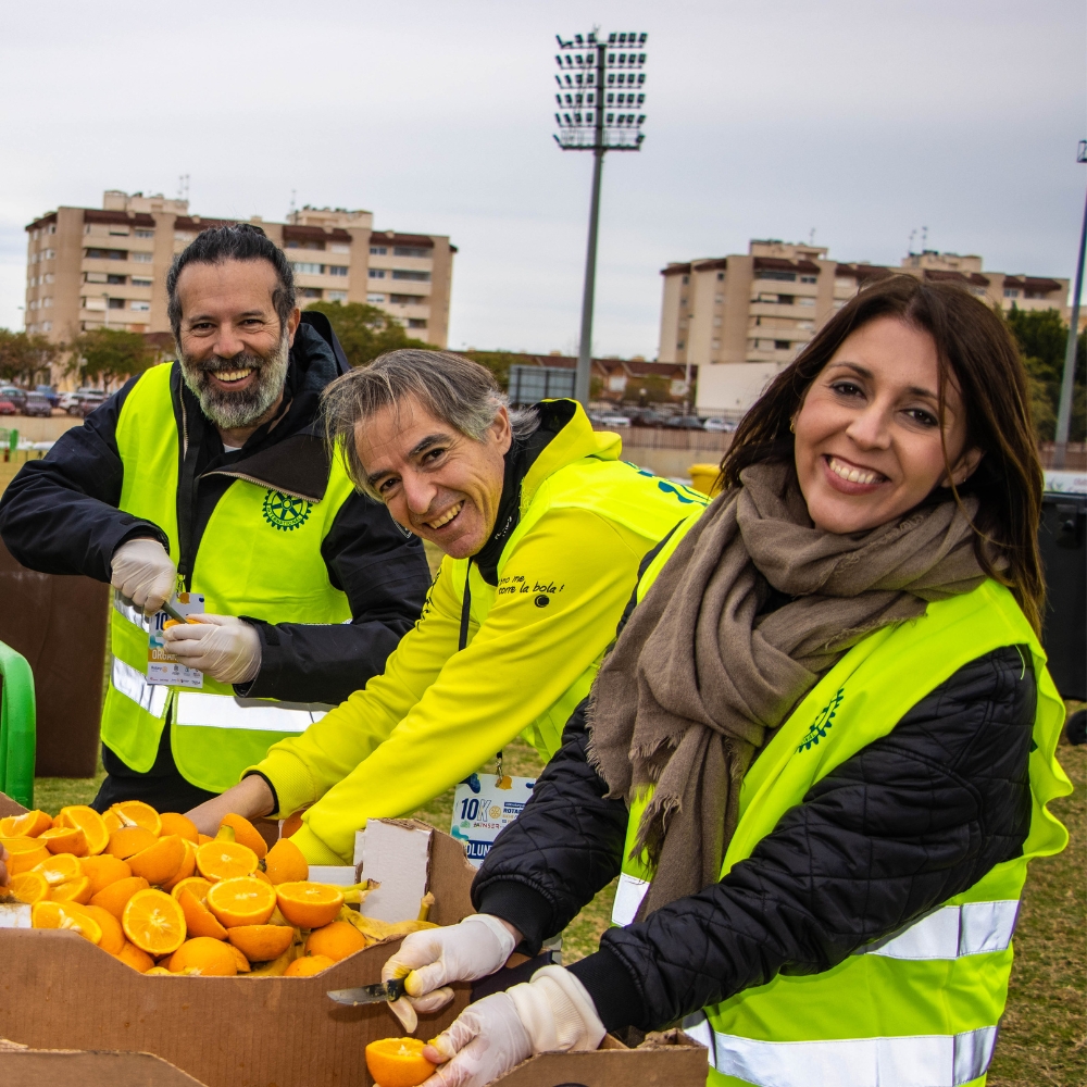 Rotary Elche Illice